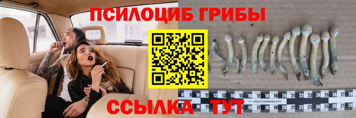 Галлюциногенные грибы ЛСД  Псилоцибиновые грибы мухоморы  Вход с VPN  Фрязино 