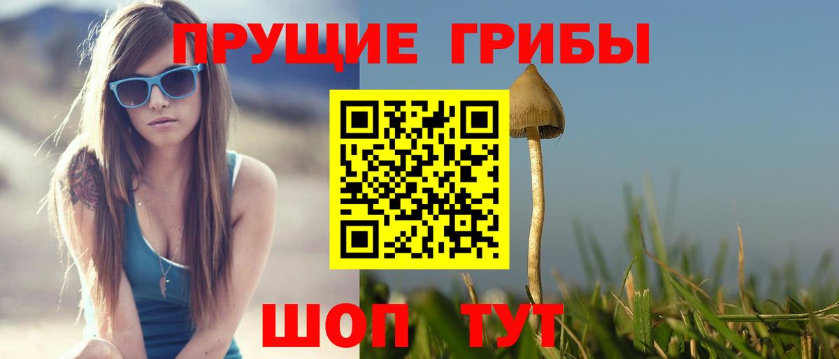 Галлюциногенные грибы мухоморы Фрязино